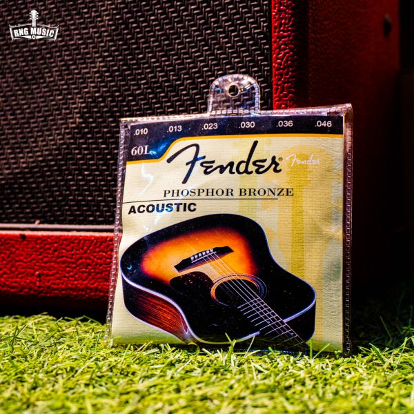 Fender acoustic guitar strings (10 gauge) RnG Music